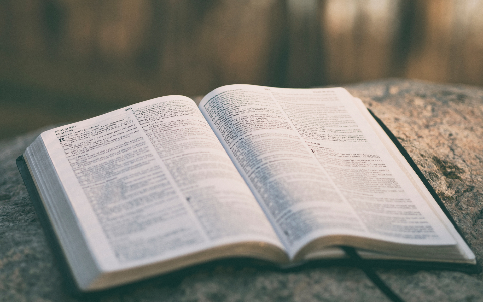 Bible resources - image of Bible