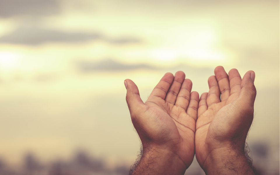 Bible resources - image of praying hands